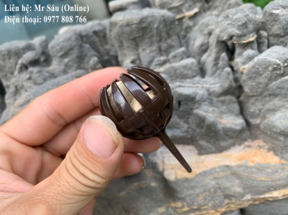 Giỏ đựng phân cây cảnh
