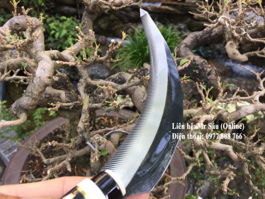 Liềm cắt bầu rễ cây cảnh siêu bén