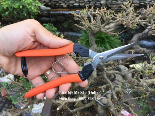 kéo tỉa cây cảnh Saboten Nhật Bản