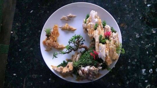 Tiểu cảnh gỗ hóa ngọc