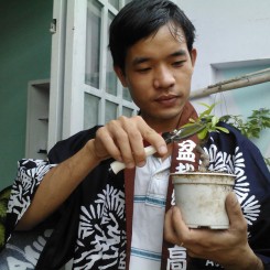 Vườn Bonsai mini Sài Gòn
