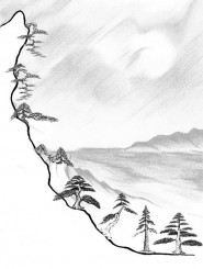 Kiểu dáng Bonsai căn bản