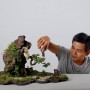 Một số tác phẩm tiểu cảnh - Non bộ đẹp của Trần Minh