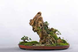 Danh sách tác phẩm đạt giải do các Nghệ Nhân Quốc Tế chấm thi (Non bộ và tiểu cảnh)