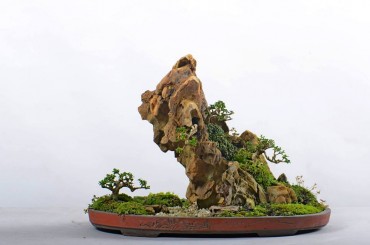 Danh sách tác phẩm đạt giải do các Nghệ Nhân Quốc Tế chấm thi (Non bộ và tiểu cảnh)