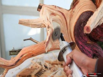 Làm lũa Bonsai - Deadwood Work (Phần 2)