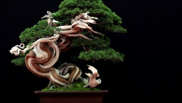 Những tác phẩm Bonsai tuyệt vời