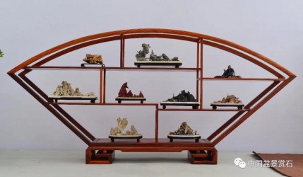 Mẫu kệ trưng bày Bonsai mini đẹp