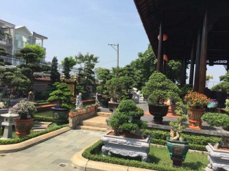 Vườn cây cảnh của Đại Gia ở Sài Gòn